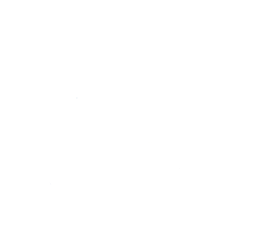 Boston Logo